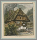 Schwarzwald. - "Schwarzwälder Bauernhaus".