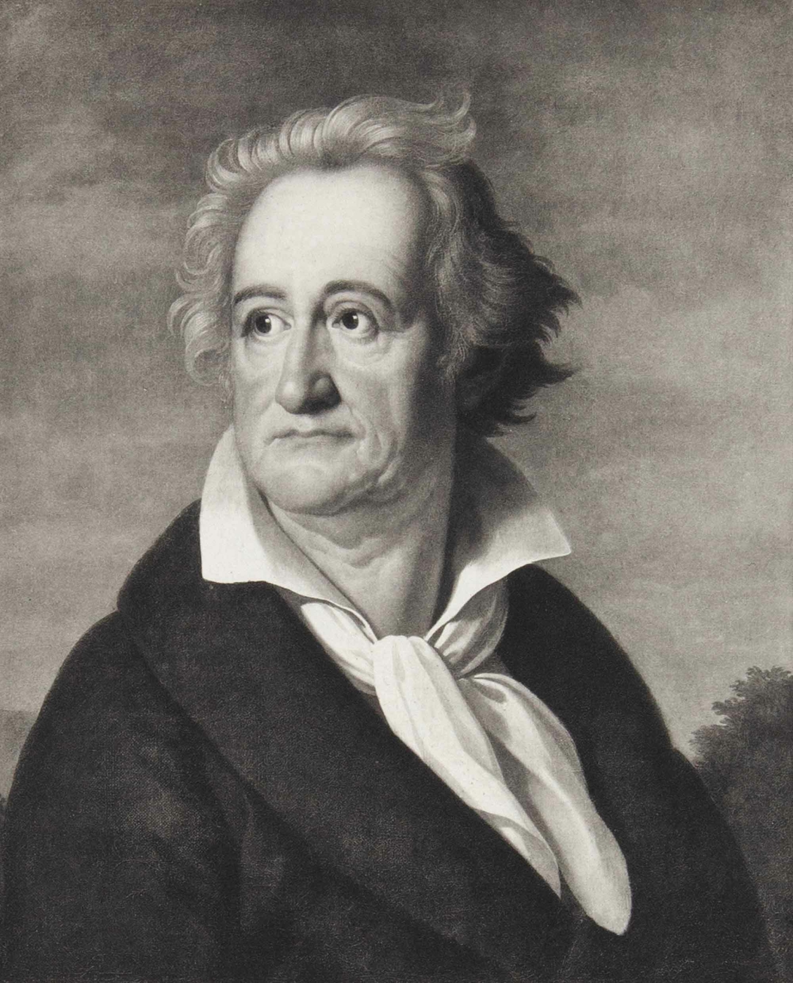Goethe Johann Wolfgang Porträt Goethe 3000 8008