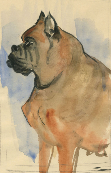 Diez, Christa. - Hunde. - "Deutscher Boxer".