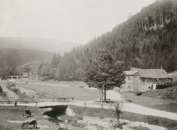 Gera (Fluss). - Bilder aus Thüringen. - "Partie im Gerathale".