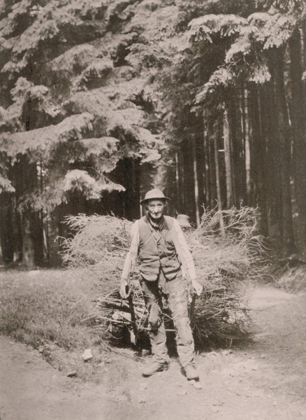 Friedrichroda. - Bilder aus Thüringen. - "Friedrichroda: Holzsammler im Lauchagrund".