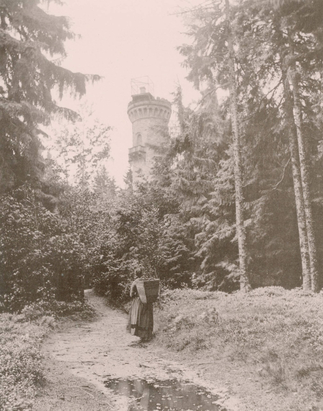 Ilmenau. - Bilder aus Thüringen. - "Ilmenau: Kickelhahn".