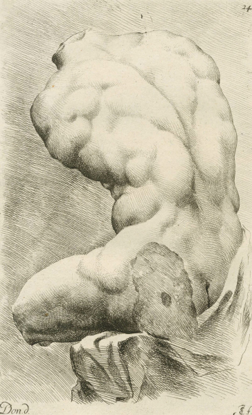 de Bisschop, Jan. - "Belvedere Torso".