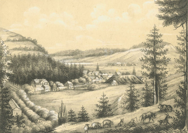 Ilmenau. - Gesamtansicht. - "Aussicht überm Wellenbad".