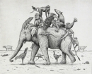 Lehnert, Fabian  -  "Elephas maximus"