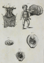 Diderot, Denis - Encyclopedie - "Anatomie" -...