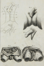 Diderot, Denis - "Histoire Naturelle" -...