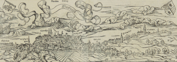 Freising. - Panorama. - Sebastian Münster. - "Die Bischoffliche Statt Freisingen (...)".