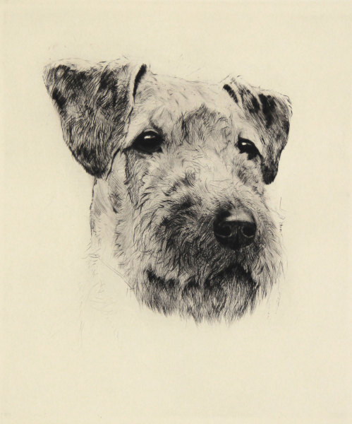 Meyer-Eberhardt, Kurt. - "Schnautzer"